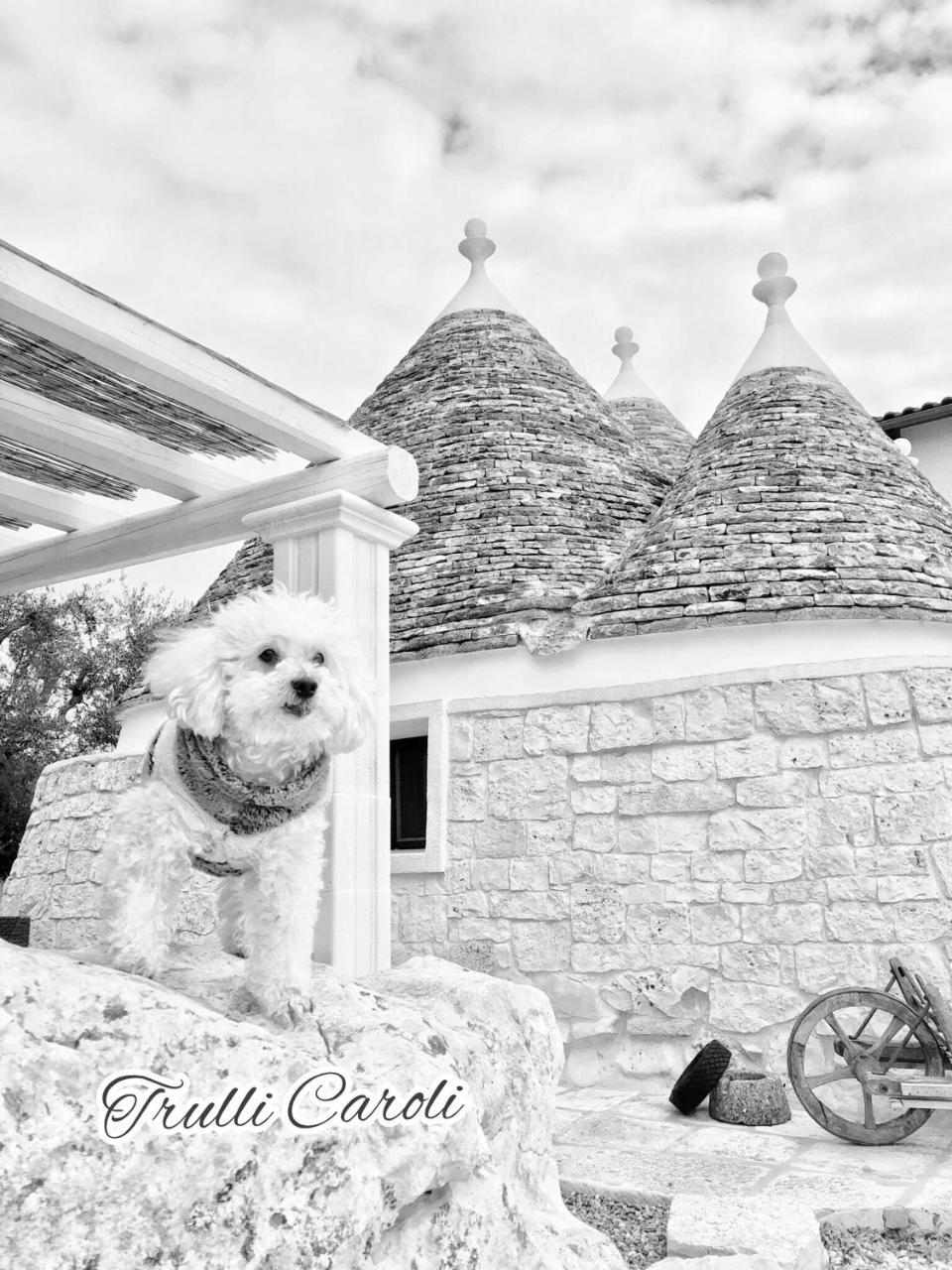 Hotel Trulli Caroli Locorotondo Zewnętrze zdjęcie